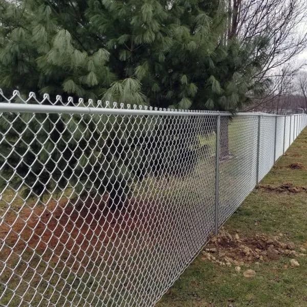 Chain link fence